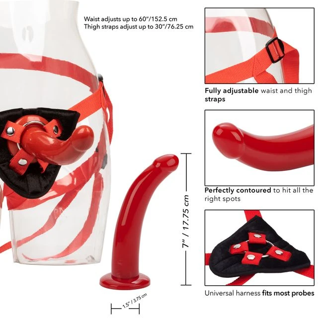 Red Rider - Physical Experience & Targeted Pleasure