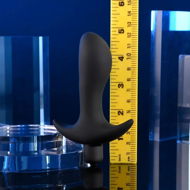 Selopa P-Spot Trainer - A Single Steady Vibration From One AAA