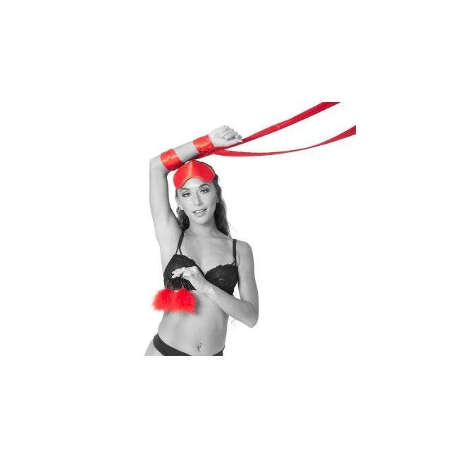 Sex & Mischief Amor Bondage Beginner Kit - Hardware & Fasteners