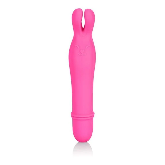 Shane's World Bedtime Bunny Pk - Overview