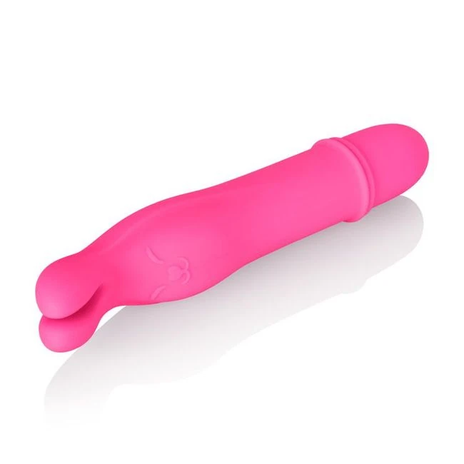 Shane's World Bedtime Bunny Pk - Vibration Modes & Features