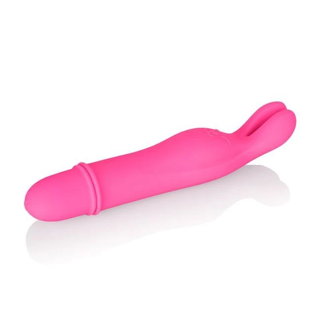 Shane's World Bedtime Bunny Pk - Power & Performance