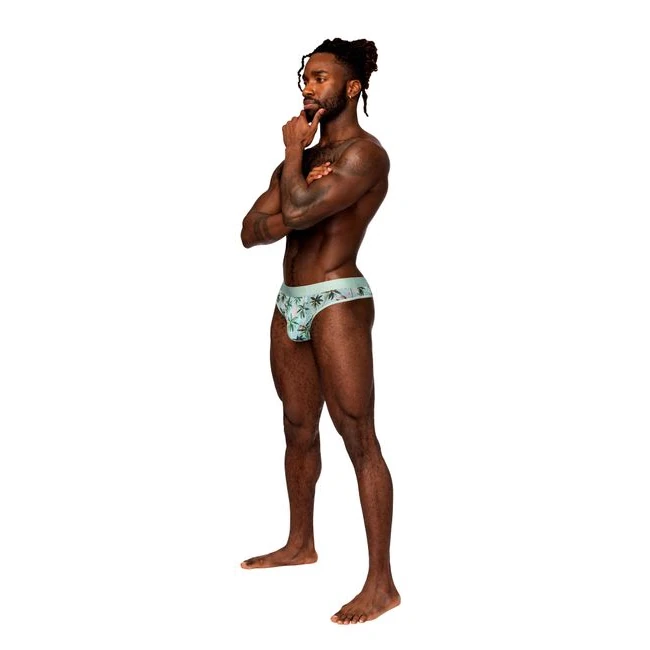 Sheer Prints Thong Flamingo - Nylon That Stretches Without Losing Its Shape