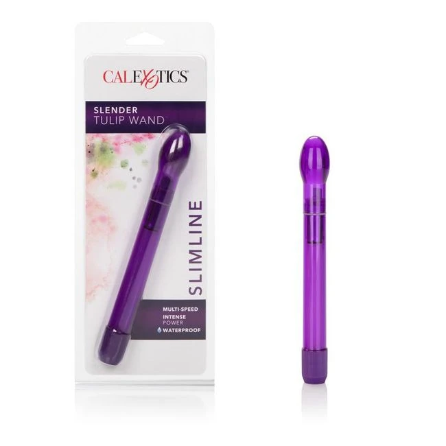 Slender Tulip Wand-violet - Vibration Modes and Control