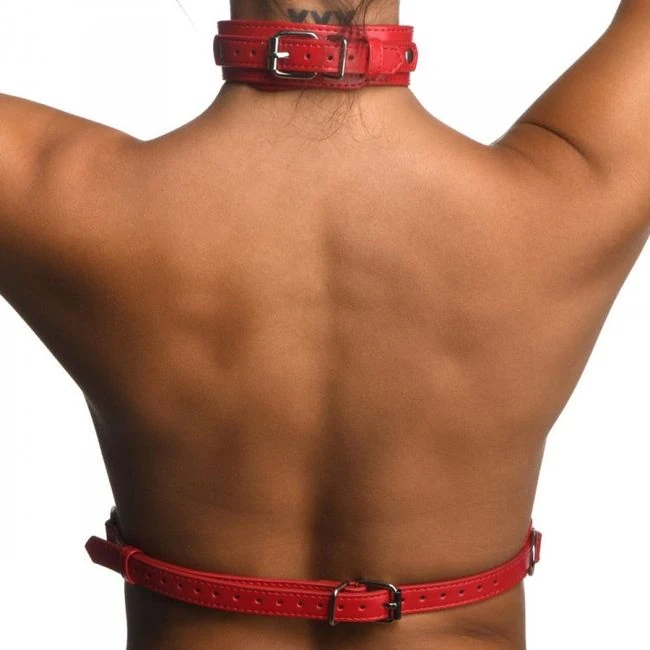 Strict Female Chest Harness M/L Red - Material Feel & Hardware