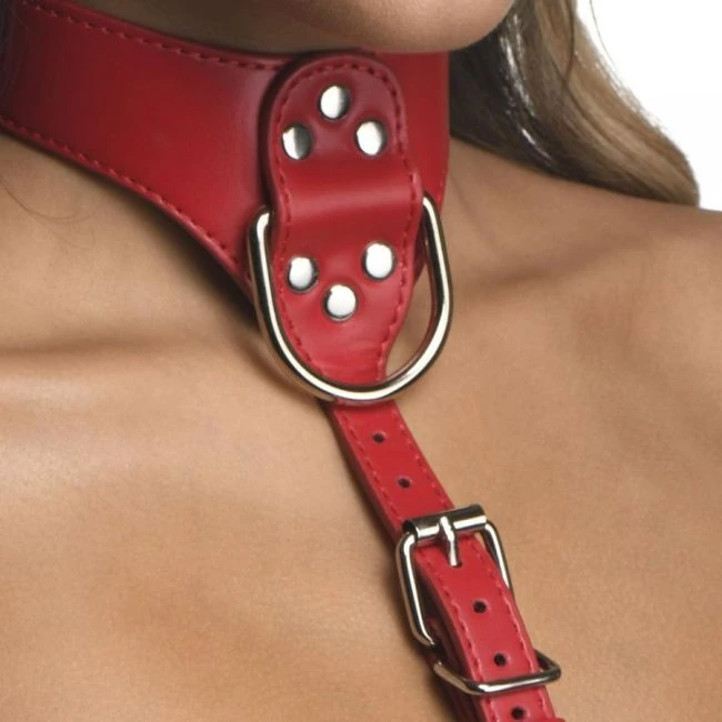 Strict Female Chest Harness M/L Red - Styling, Play & Care