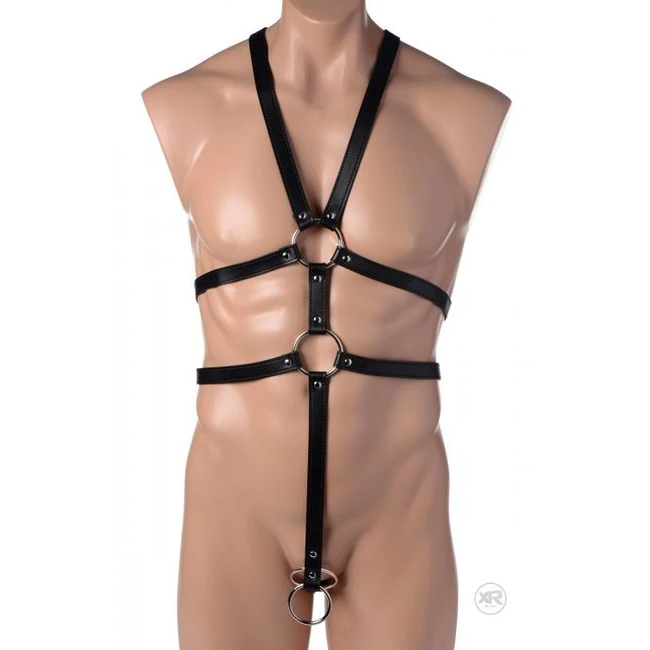 Strict Male Full Body Harness - Hardware & Fasteners