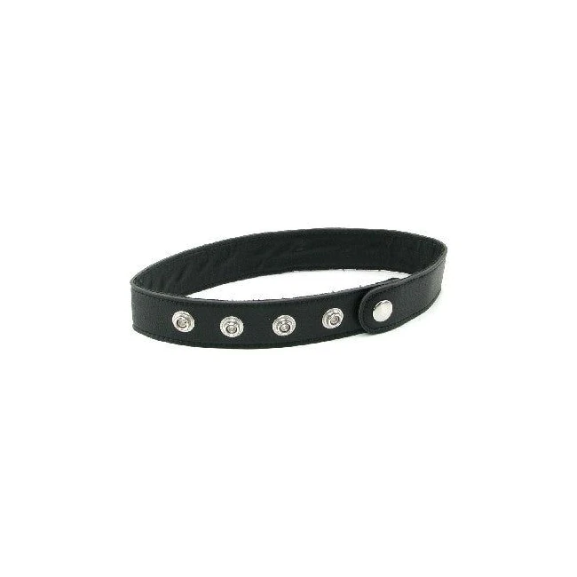 Talk Dirty to Me Collar - Slave - Hardware & Fasteners
