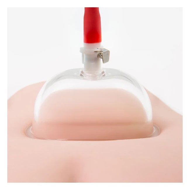 Temptasia Intense Pussy Pump System - Enhanced Sensation and Pleasure