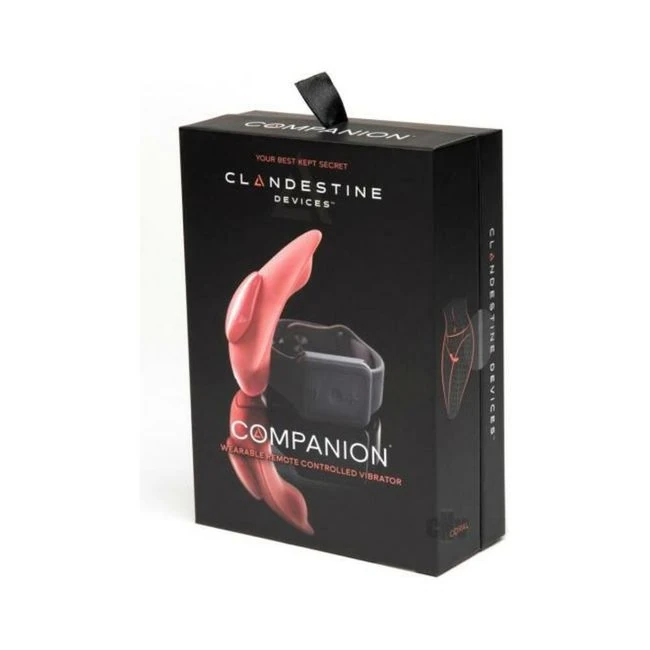 The Companion Remote Control Panty Vibe - How It Feels