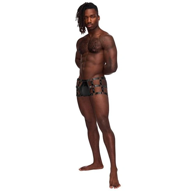 Vulcan Studded Harness Black L/xl - Hardware & Fasteners