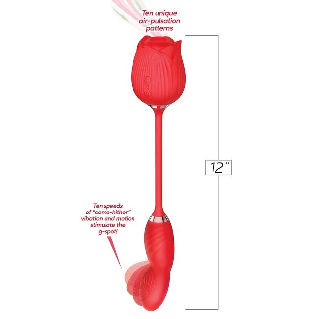 Wild Rose Come Hither - Ten Curl Speeds Along the Stem