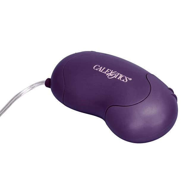 Bliss Bullet Purple - Usage Tips