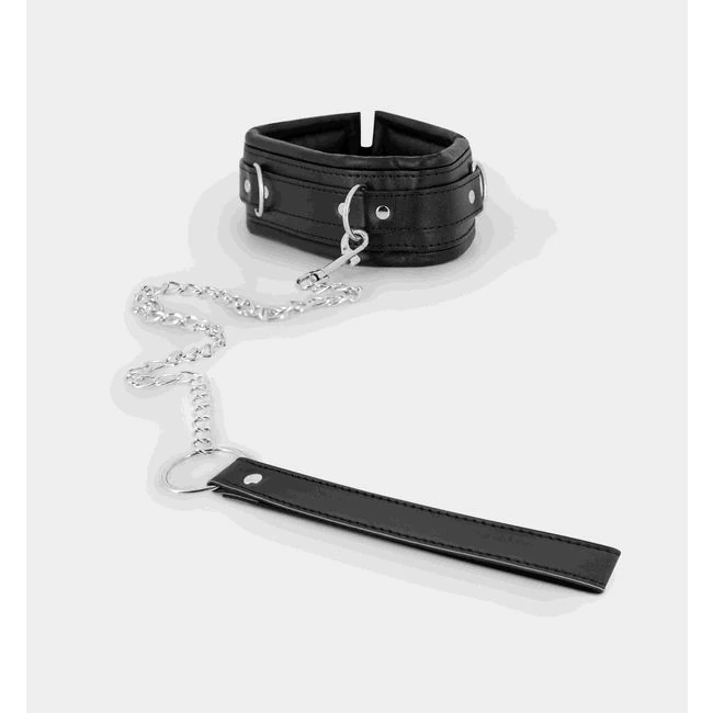 Collar & Leash - Build & Quality