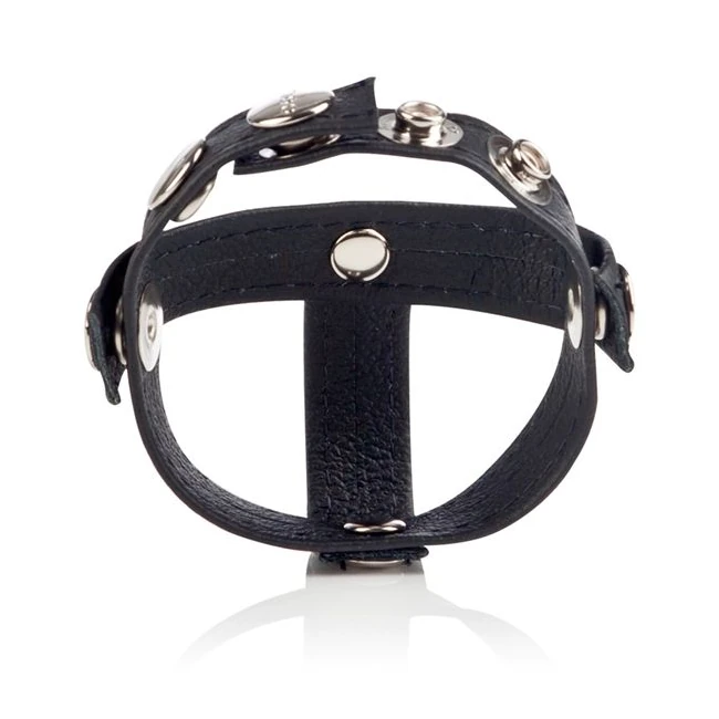 Colt Leather H-piece Divider - Build & Quality