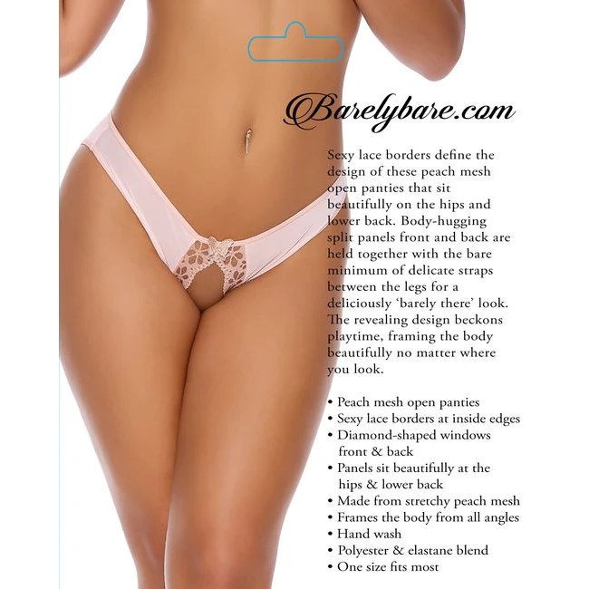 Barely Bare Lace Edge Open Panty - Design Details