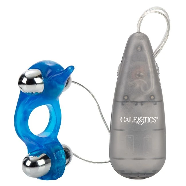 Diving Dolphin - What Stands Out