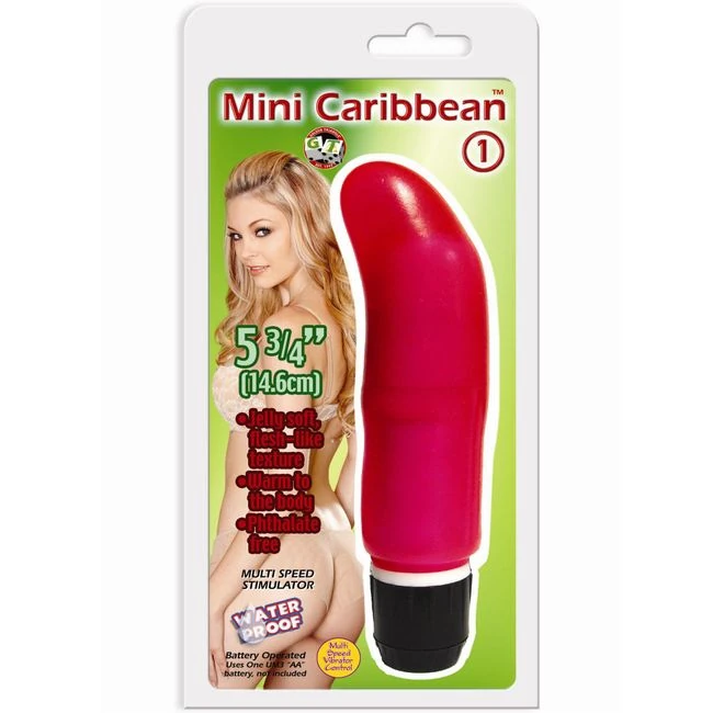 Mini-caribbean #1 - Compact Design with Powerful Performance