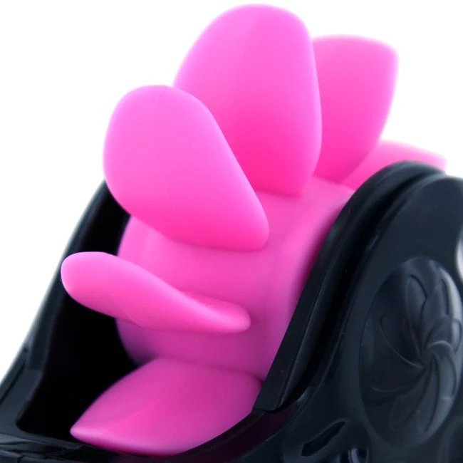 Sqweel 2 Black - Overview