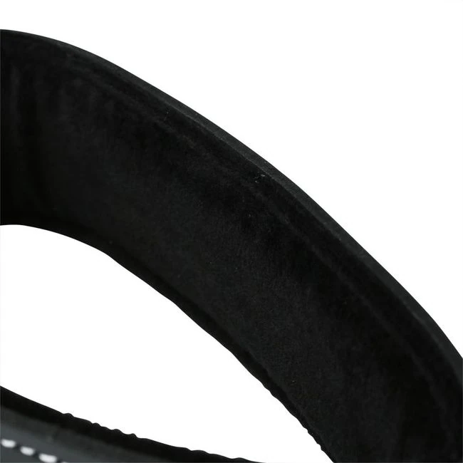 Edge Lined Leather Collar - Product Details & Includes