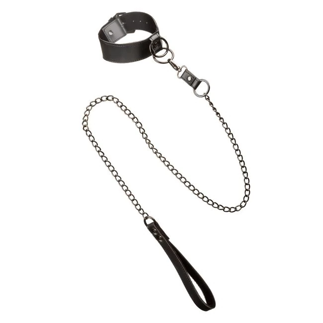 Euphoria Collar W/ Chain Leash - Comfort & Fit