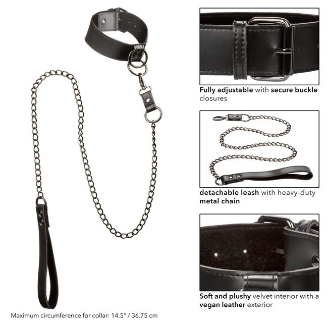 Euphoria Collar W/ Chain Leash - Specifications