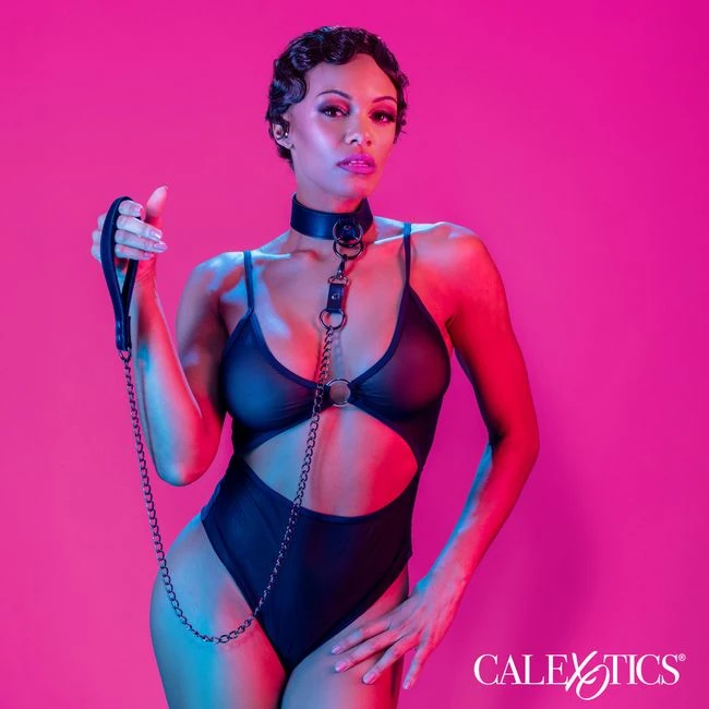Euphoria Collar W/ Chain Leash - Features
