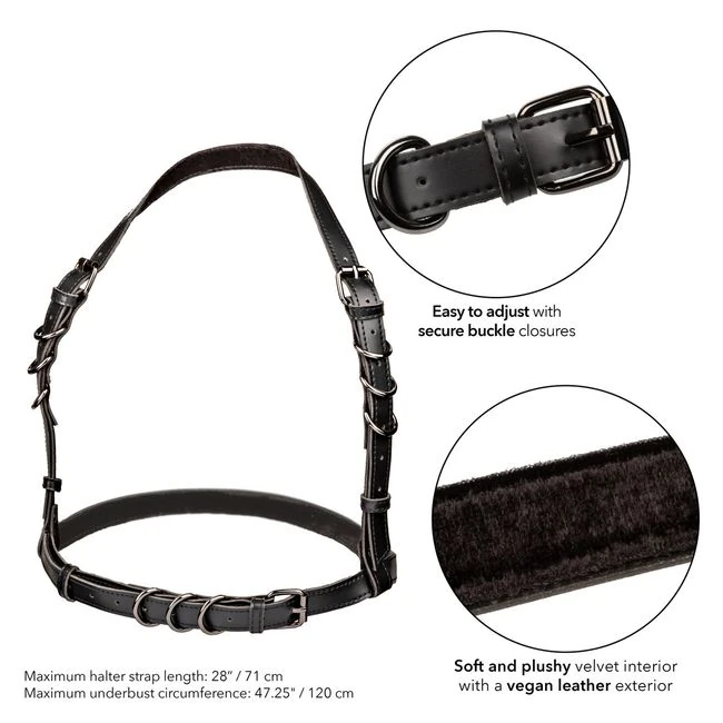 Euphoria Plus Size Halter Buckle Harness - Specifications