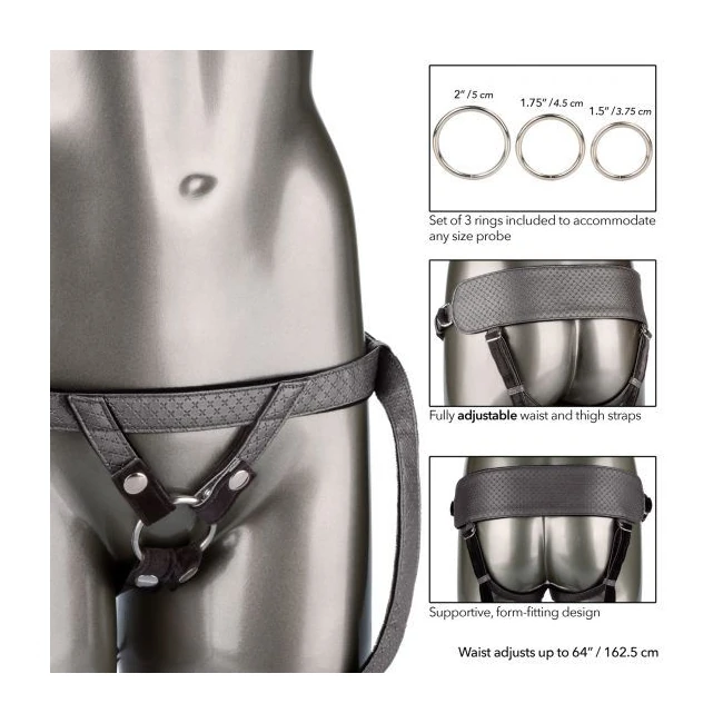 Her Royal Harness the Regal Princess Pewter - Shape & Texture