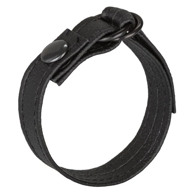 Leather Cinch - Worth Noting