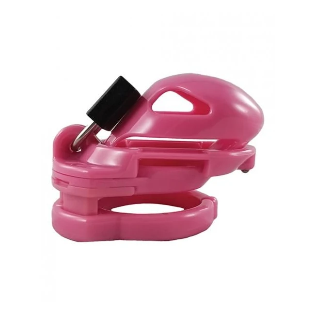 Locked in Lust the Vice Mini V2 - - What Stands Out