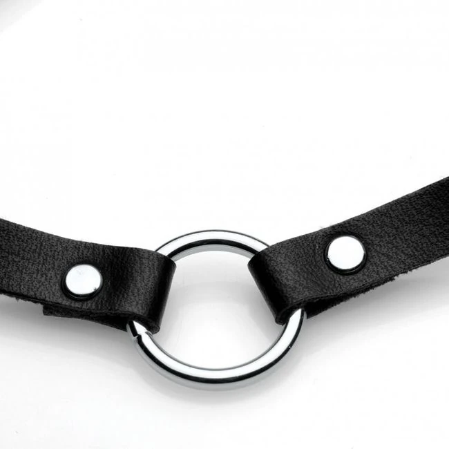 Master Series Lush Pet Silver Ring Slim Choker - Build & Quality