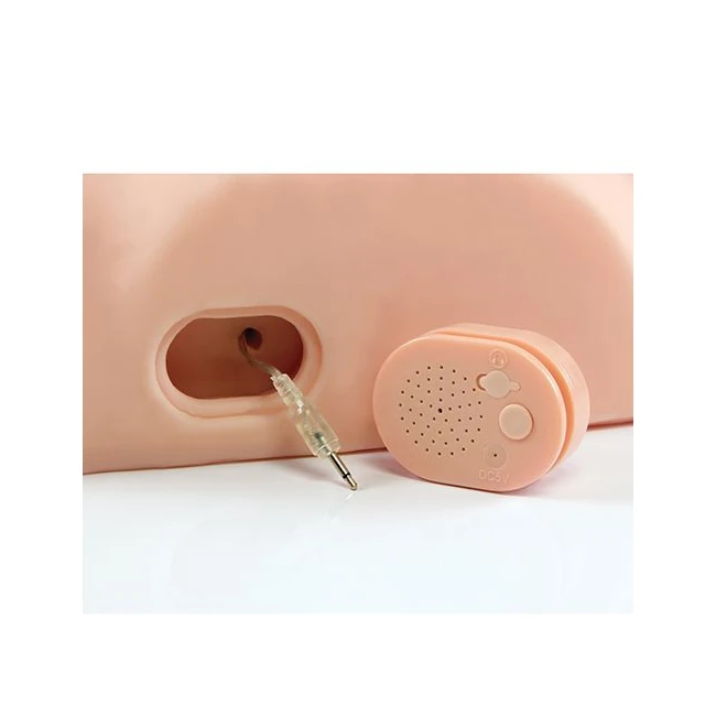 Pdx Male Dirty Talk Fuck Him Silly Interactive Masturbator - Vibration Modes and Interactive Features