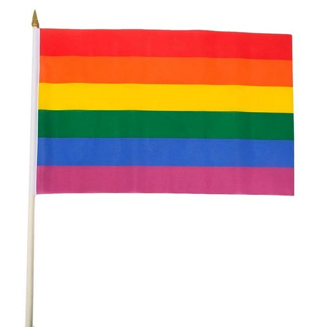 Rainbow Stick Flag - What Is the Rainbow Stick Flag?
