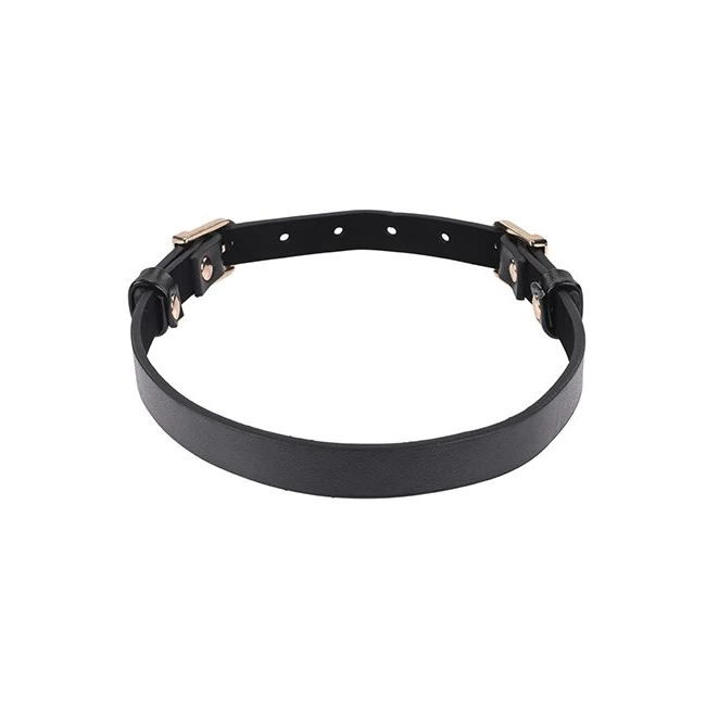 Sex & Mischief Double Buckle Day Collar - Build & Quality