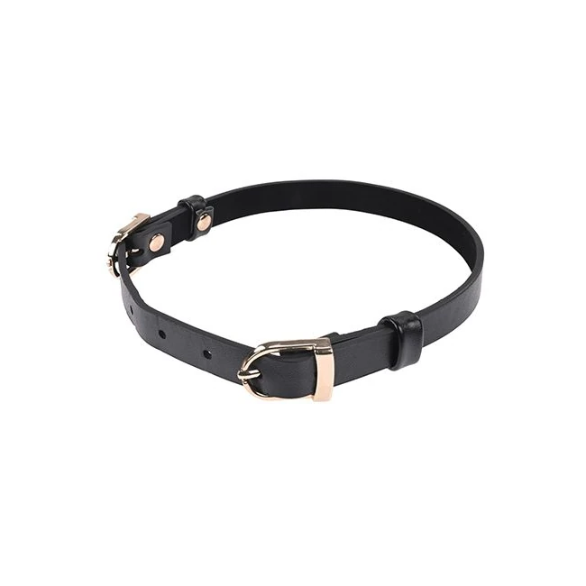 Sex & Mischief Double Buckle Day Collar - Hardware & Fasteners