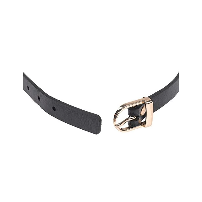 Sex & Mischief Double Buckle Day Collar - Additional Features