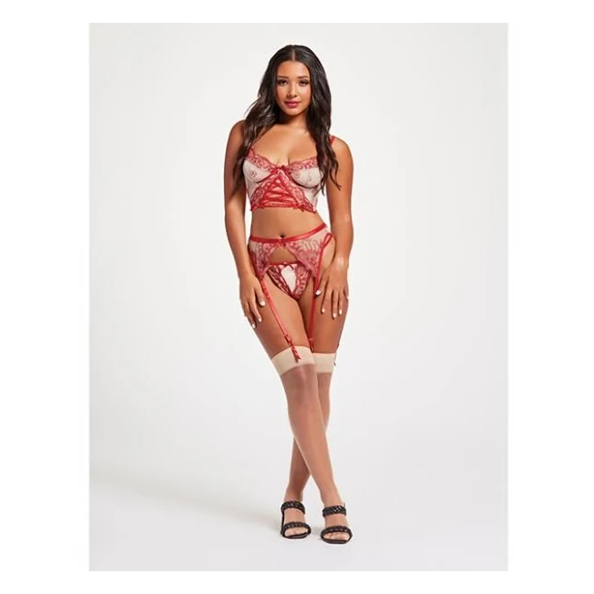 Sheer Stretch Mesh W/floral Contrast Embroidery Bustier, Garter Belt & Thong Red/nude Md - Fabric & Feel