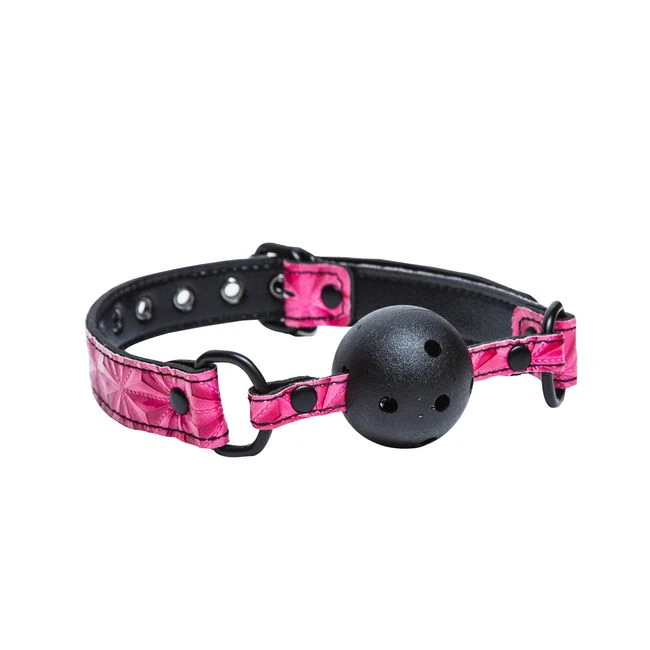 Sinful Ball Gag Pink - What Is the Sinful Ball Gag Pink?