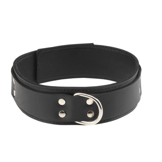 1.5in Collar - Materials & Design