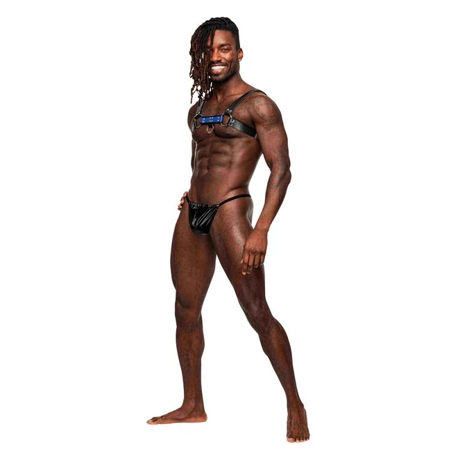 Aries Leather Harness Bla Blue O/s - Hardware & Fasteners