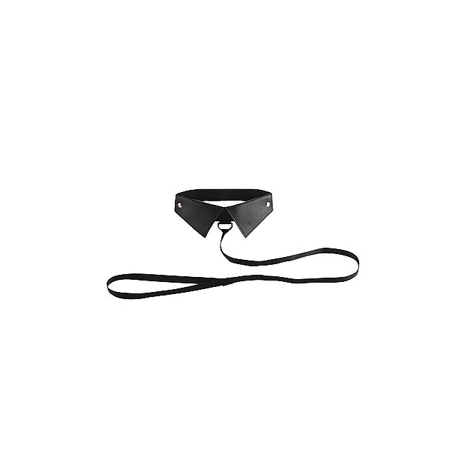 Classic Collar W/leash Bl - Build & Quality