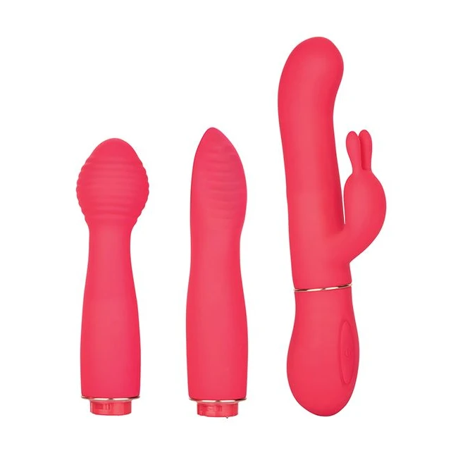 In Touch Dynamic Trio - Vibration Modes and Attachments