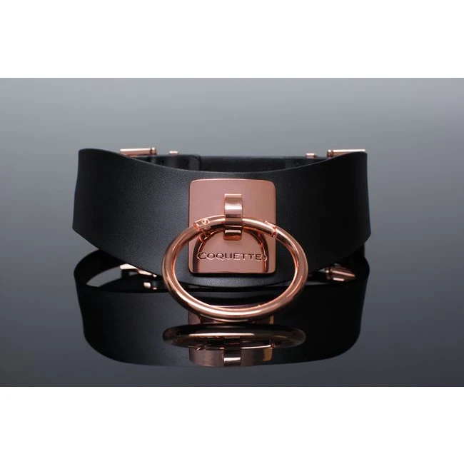 Pleasure Collar Black & R Gold - Hardware &amp; Fasteners
