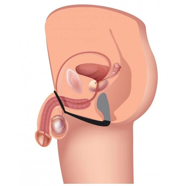 Prostatic Play Stimulator Cock & Ball Strap - Performance & Use