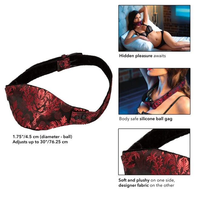 Scandal Hidden Pleasure B Gag - Specifications