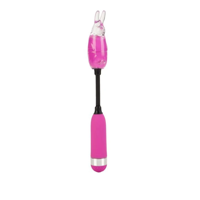 Shanes World Campus Buzz Purple - Power & Performance