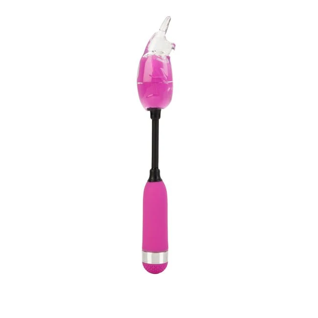 Shanes World Campus Buzz Purple - Additional Features