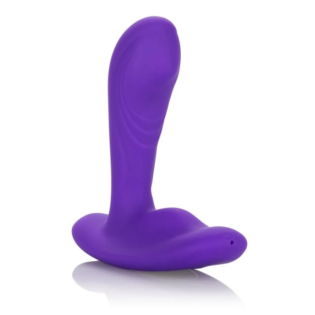Silicone Remote Pinpoint Pleaser - Vibration Modes and Control