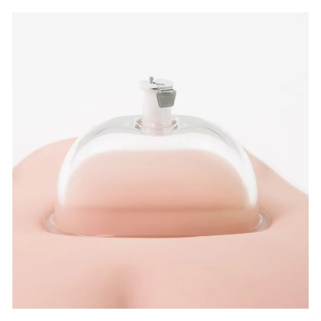 Temptasia Vulva Cup Clear - How It Feels